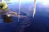 Click HERE for full size picture